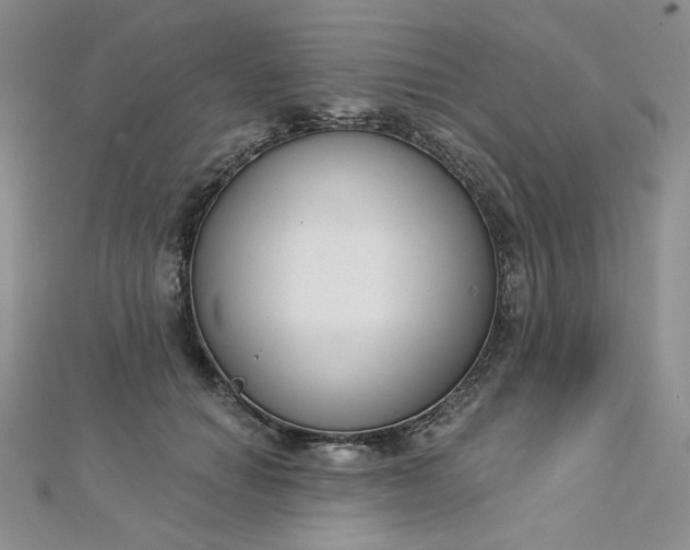 X0000112760654200909031548
