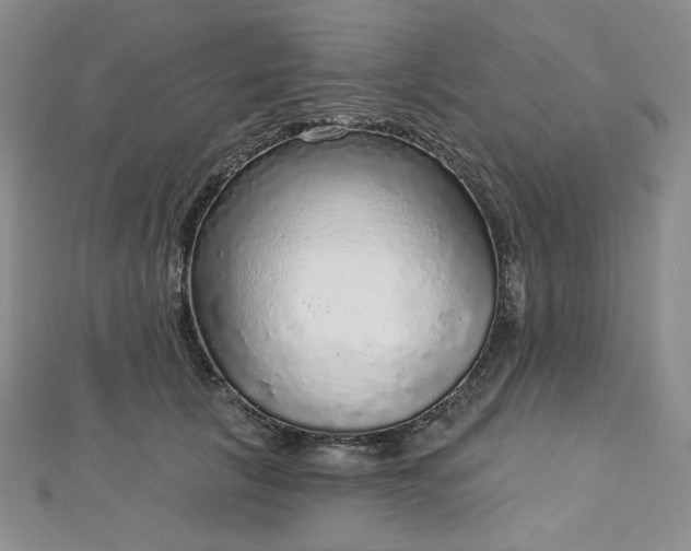 X0000112760657200909031548