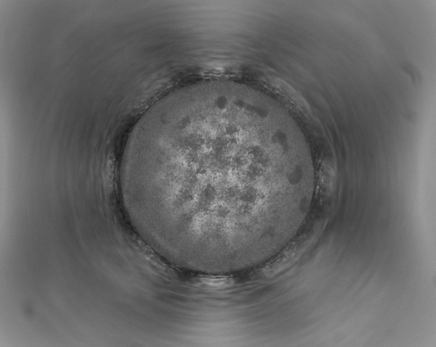 X0000112760659200909031548