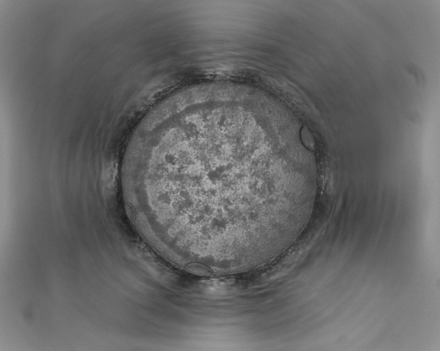 X0000112760660200909031548