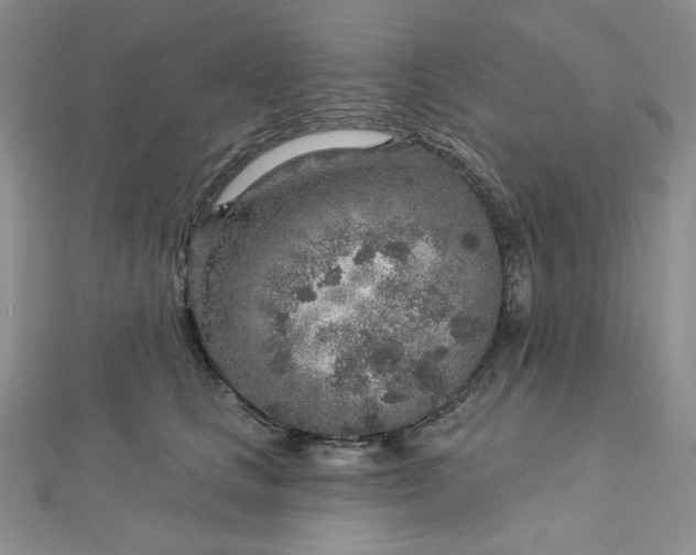 X0000112760661200909031548