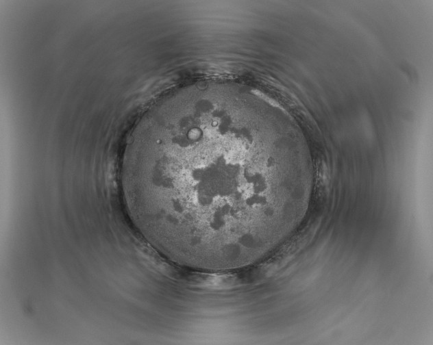 X0000112760663200909031548