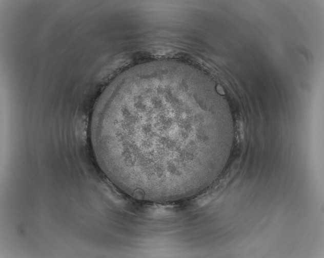 X0000112760664200909031548