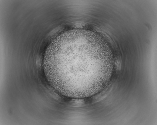 X0000112760665200909031548