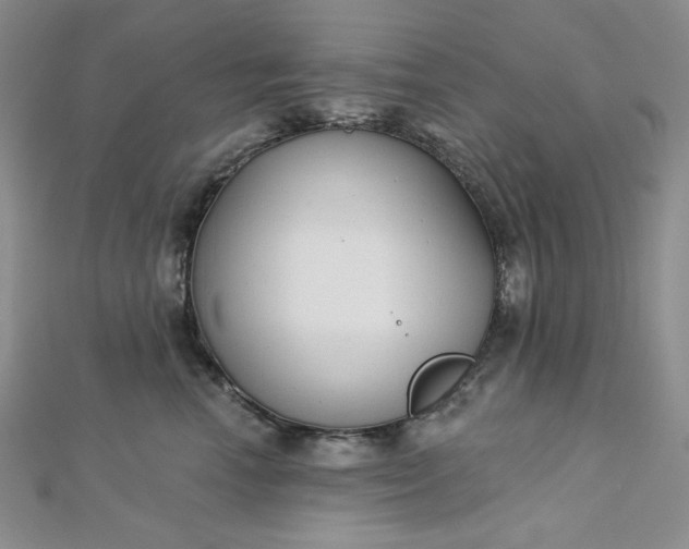 X0000112760666200909031548