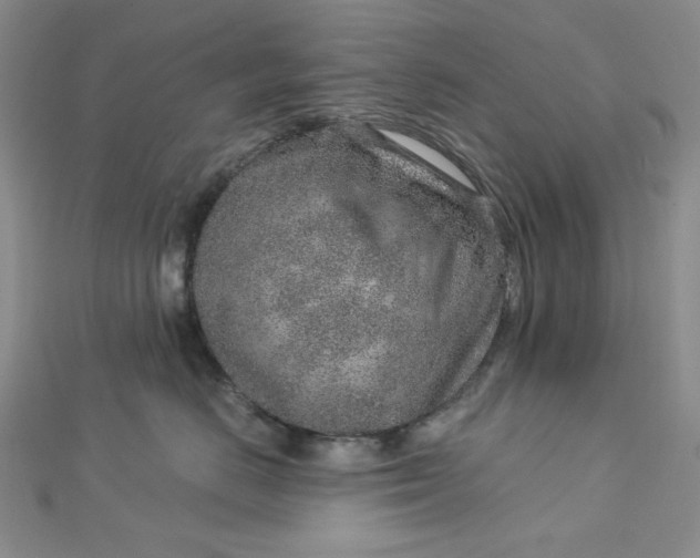 X0000112760670200909031548