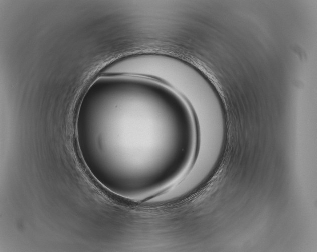 X0000112760673200909031548
