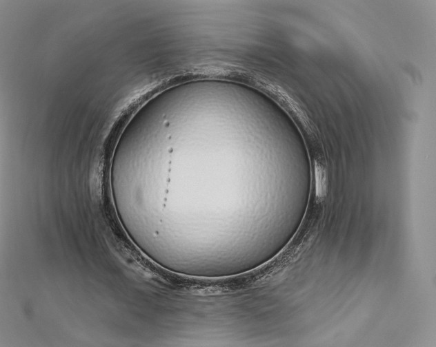 X0000112760675200909031548