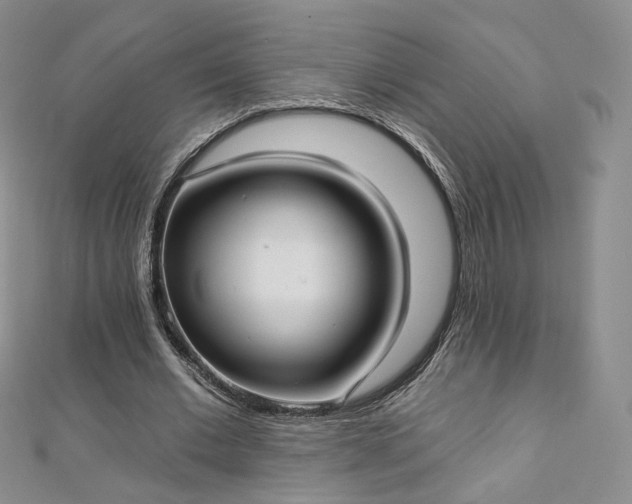 X0000112760677200909031548