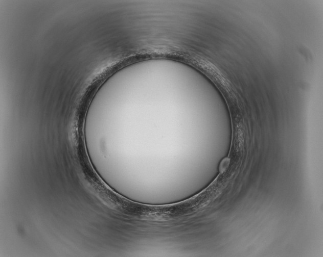 X0000112760680200909031548