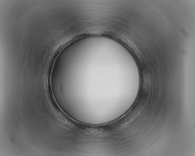 X0000112760681200909031548