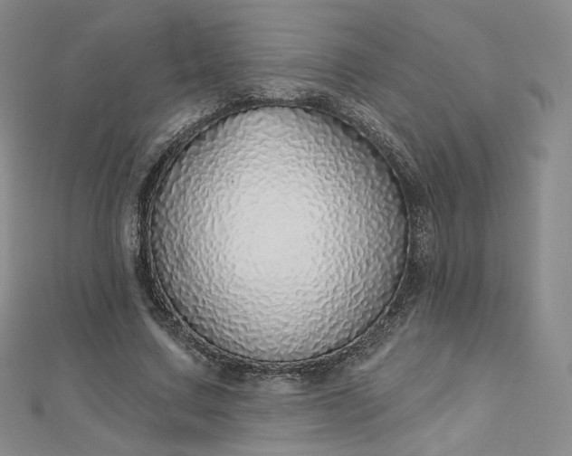 X0000112760683200909031548