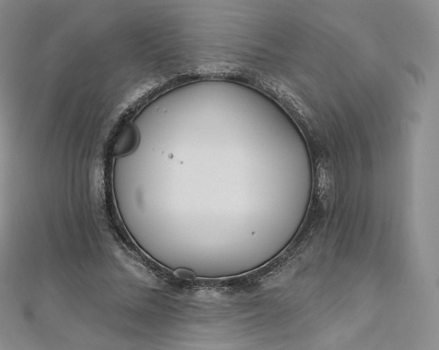 X0000112760684200909031548