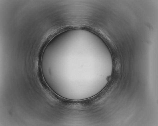 X0000112760685200909031547