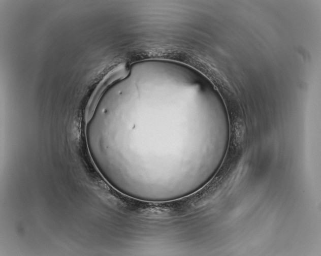 X0000112760691200909031547