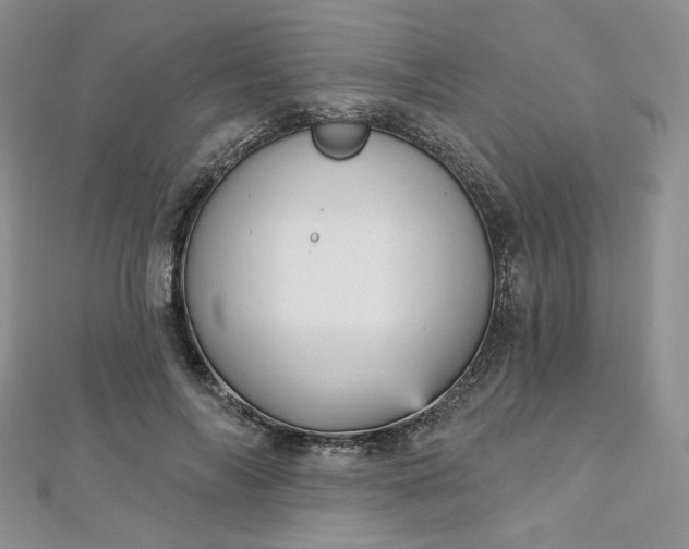 X0000112760694200909031547