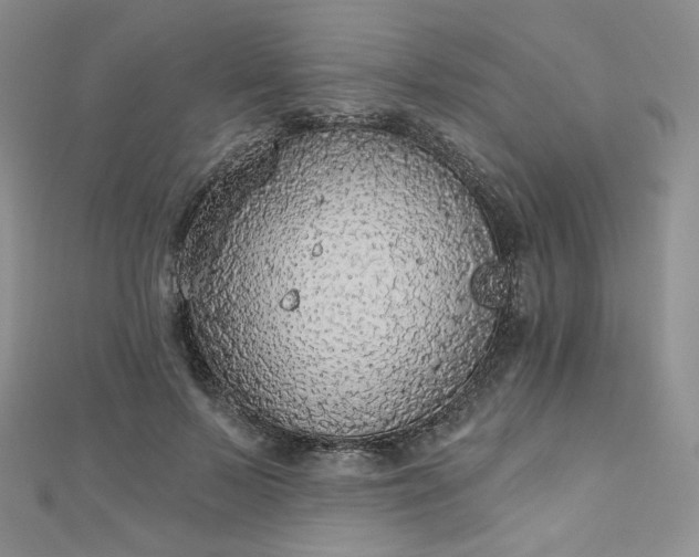 X0000112760695200909031547