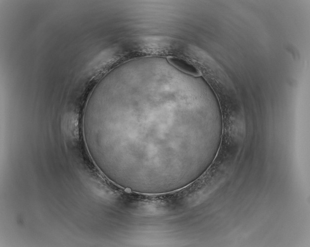 X0000112760696200909031547