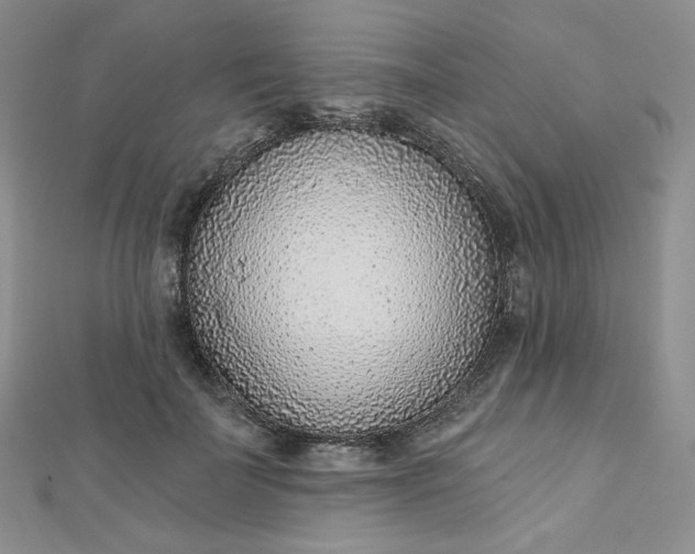 X0000112760699200909031547