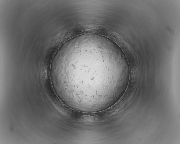 X0000112760703200909031547