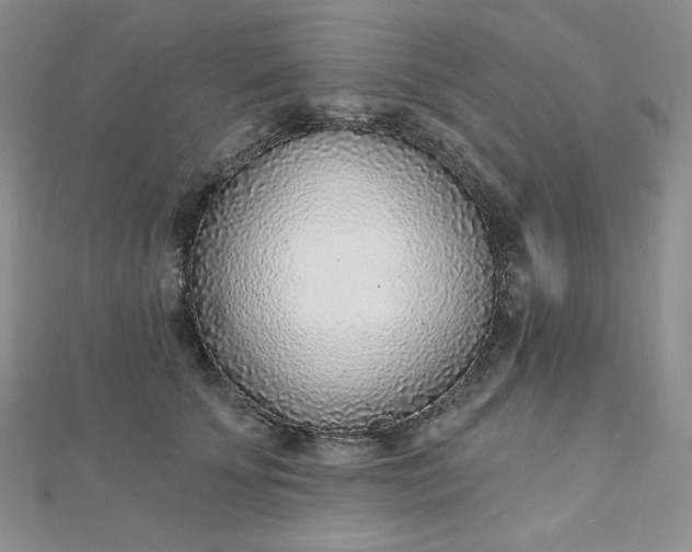 X0000112760707200909031547