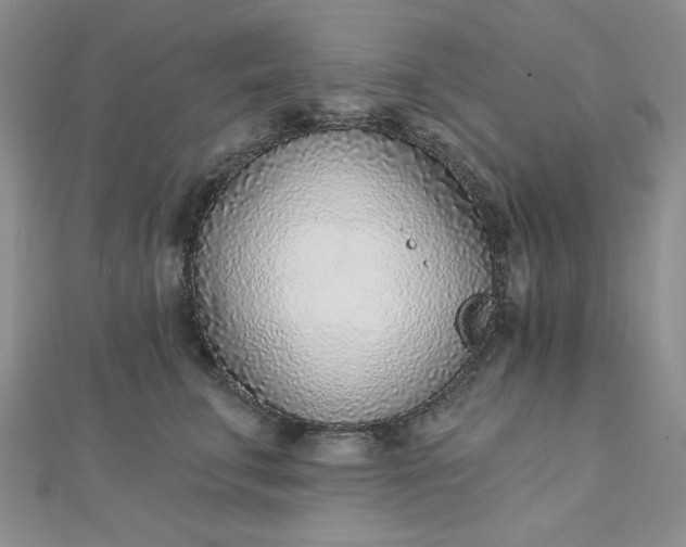 X0000112760711200909031547