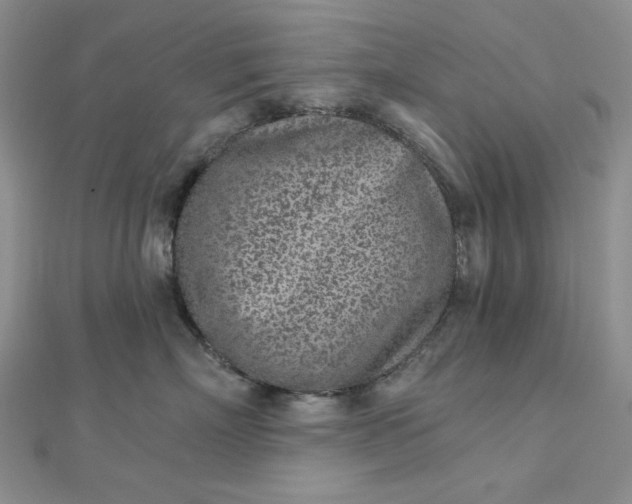 X0000112760718200909031547