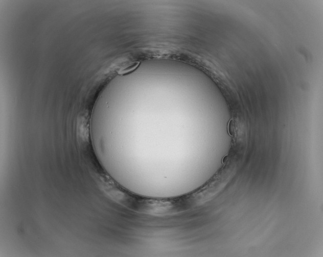 X0000112760719200909031547