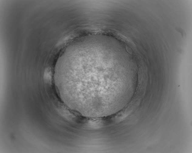 X0000112760720200909031547