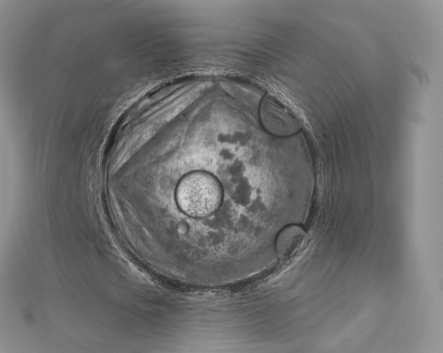 X0000112760721200909031546