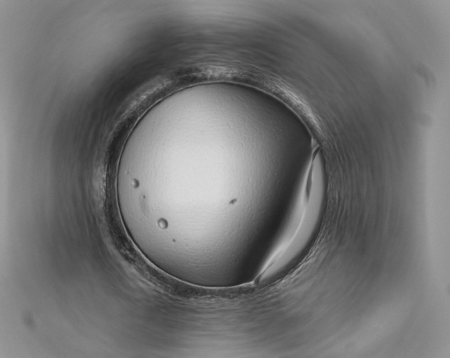 X0000112760722200909031546