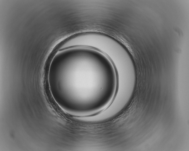X0000112760724200909031546