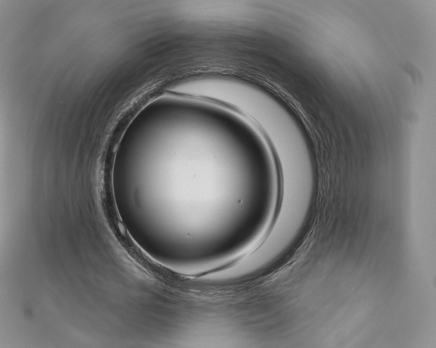 X0000112760725200909031546