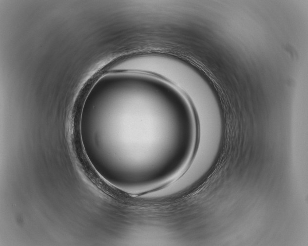 X0000112760726200909031546