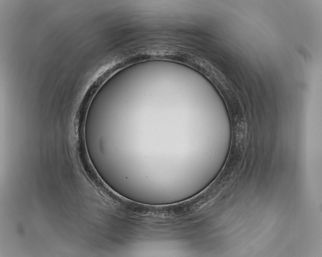 X0000112760727200909031547