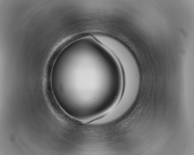 X0000112760728200909031547