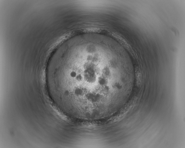 X0000112760729200909031547