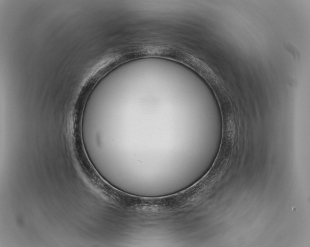 X0000112760730200909031547
