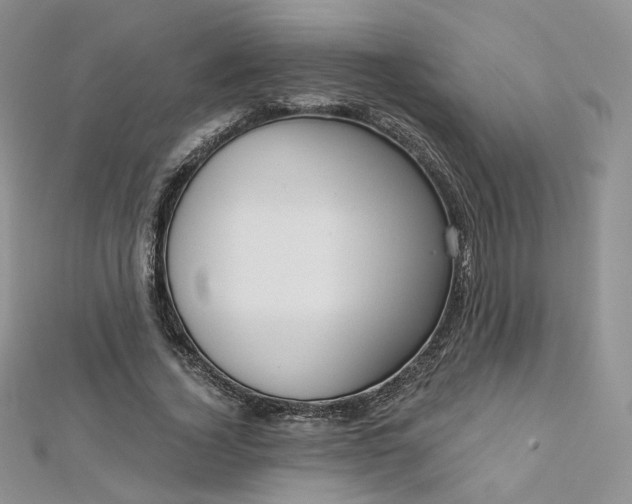 X0000112760732200909031547