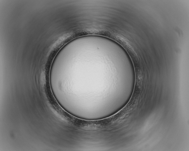 X0000112760734200909031547