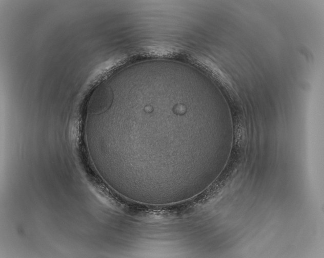 X0000112760736200909031547