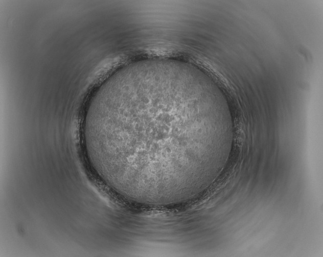 X0000112760738200909031547