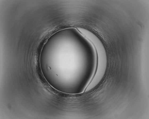 X0000112760740200909031547