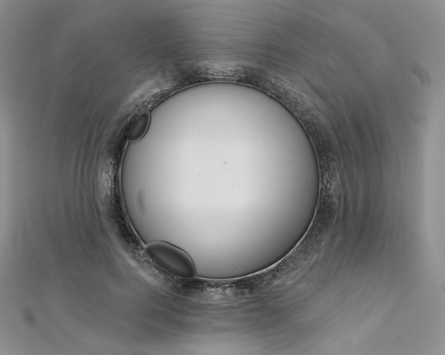 X0000112760744200909031547