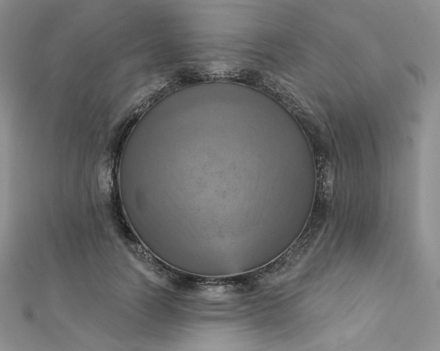 X0000112760746200909031547
