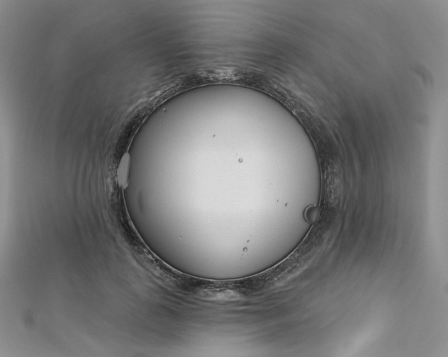 X0000112760747200909031547