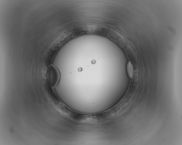 X0000112760750200909031547