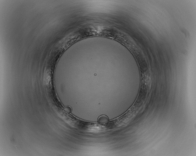 X0000112760754200909031547