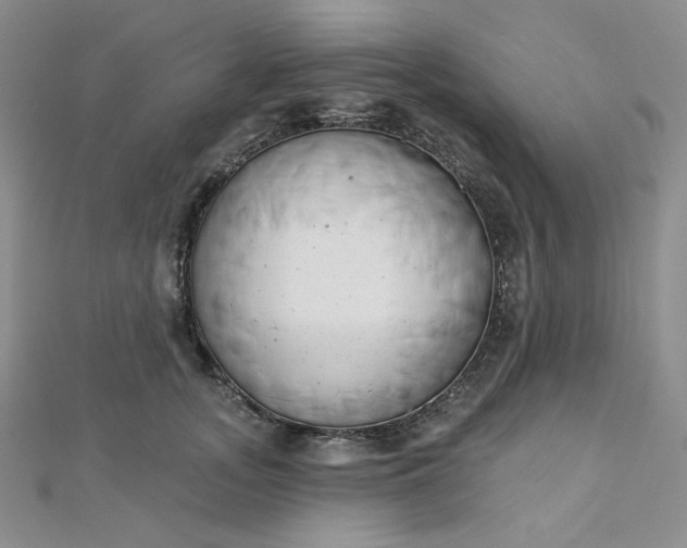 X0000112760755200909031547