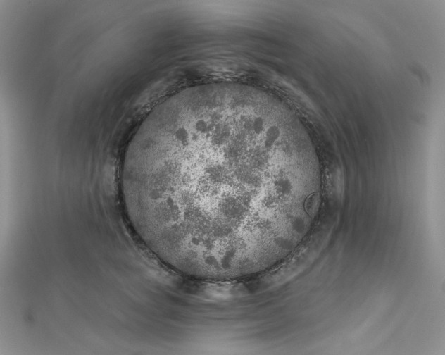 X0000112760757200909031547